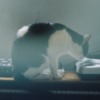 Portada de Hay Que Seguir (El Bootleg Del Anka 1)